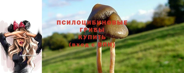 мескалин Аркадак